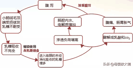 宝宝腹泻怎么办？益生菌、乳糖酶、腹泻奶粉...你家踩过哪个坑？